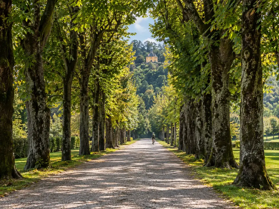 Il parco di Hellbrunn con il viale alberato Hellbrunner Allee